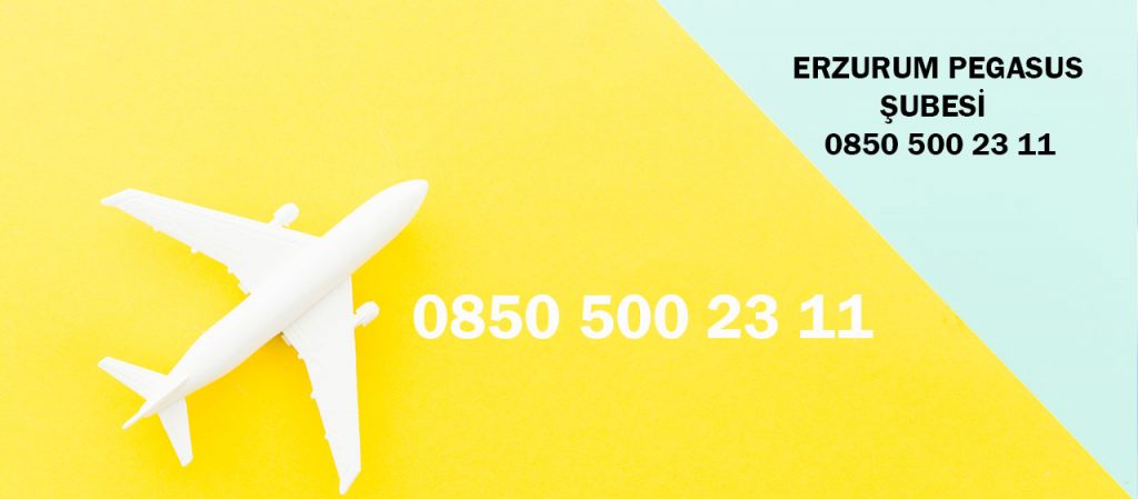 erzurum pegasus satış noktaları