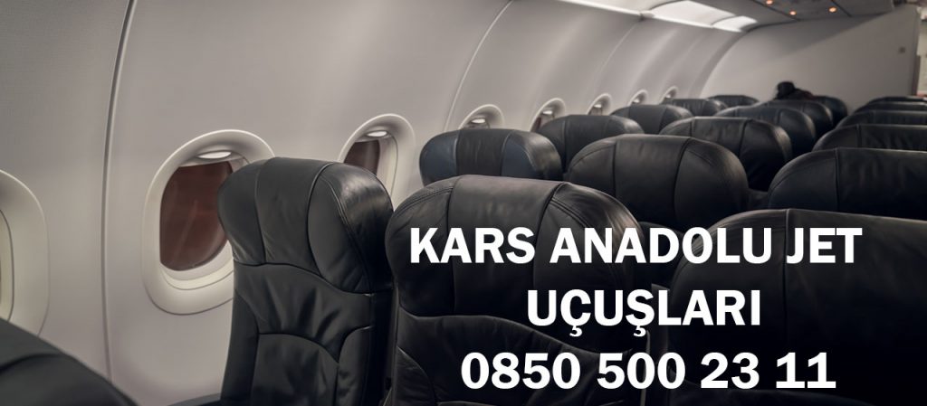 kars anadolu jet ucuşları