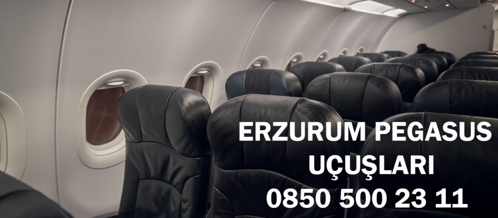 erzurum pegasus uçuşları