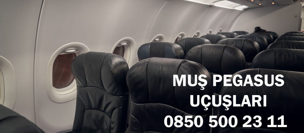 muş pegasus uçuşları